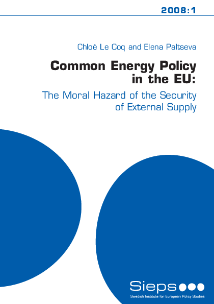 Common Energy Policy in the EU (2008:1)