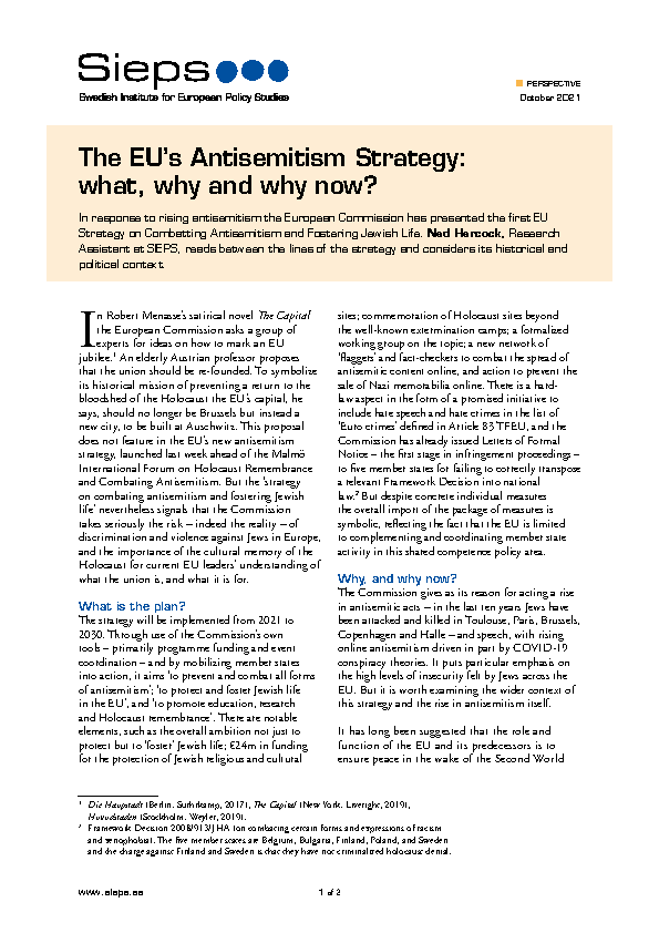 Perspective_The_EUs_Antisemitism_strategy.pdf